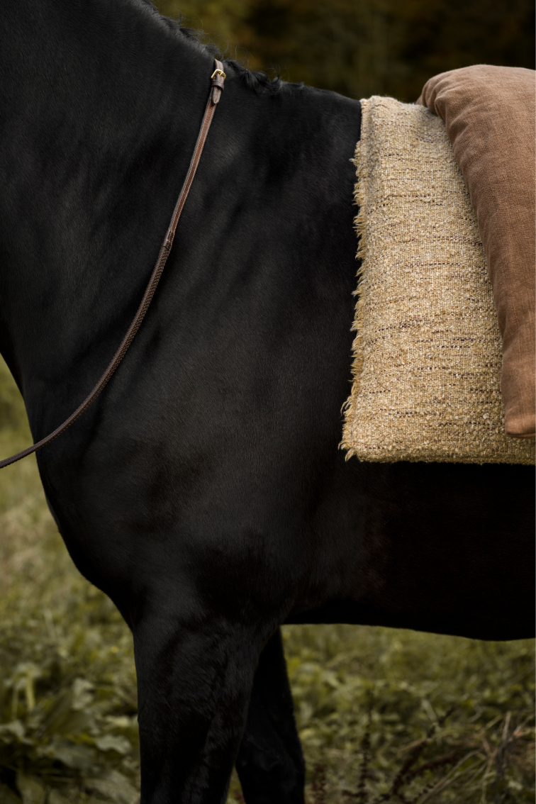 Designs-of-the-time-natural-fabric