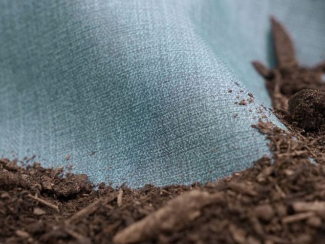 Worlds-first-biodegradable-faux-leather
